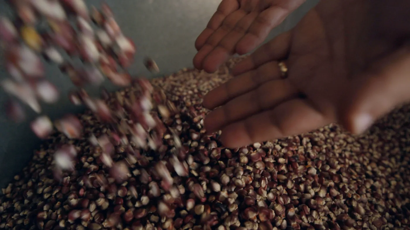 Hands working heirloom corn at Nixta Taqueria