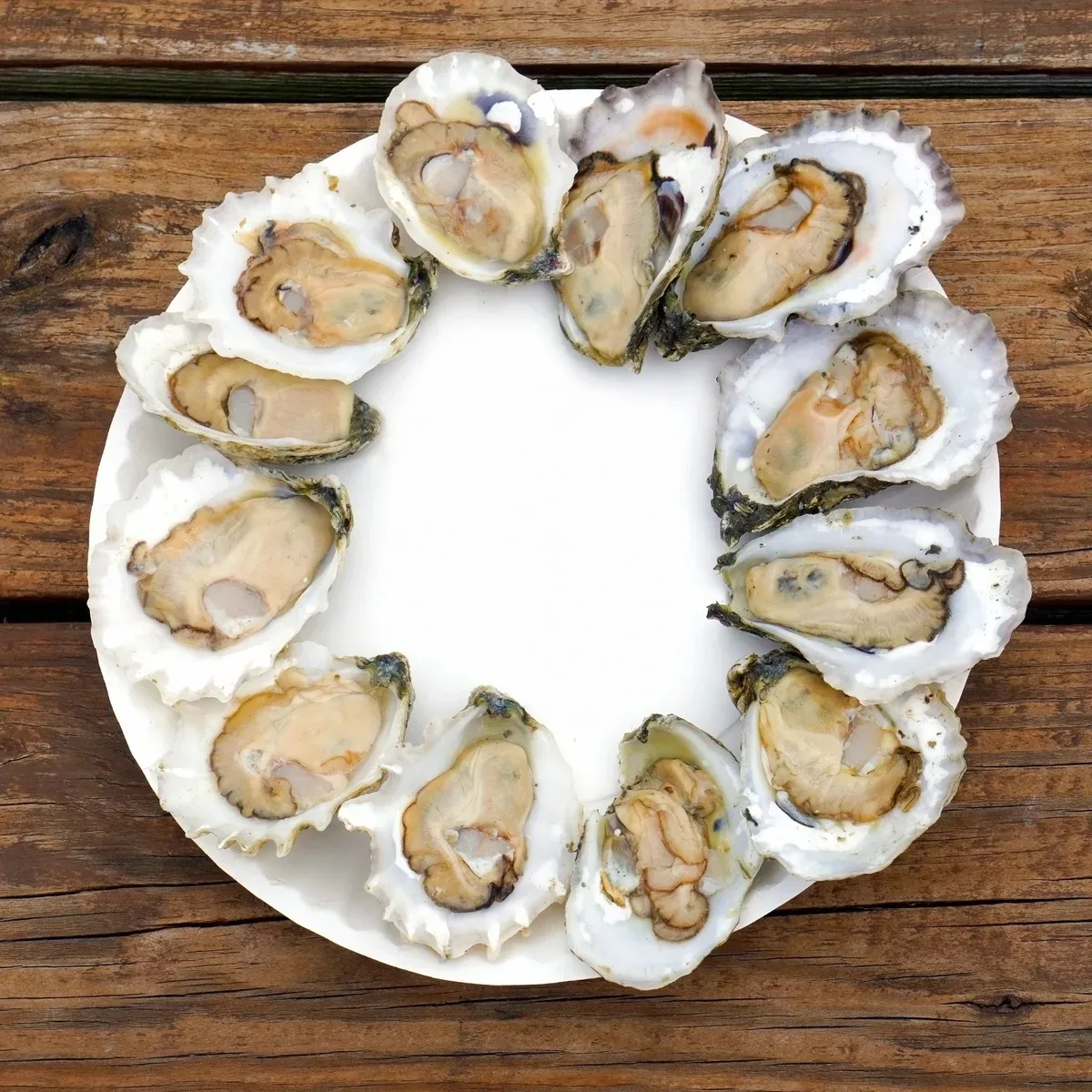 Restaurant or food photograph published by Sweetwater Oyster Bar